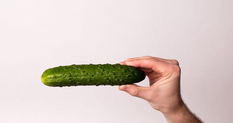 How the penis should stand correctly