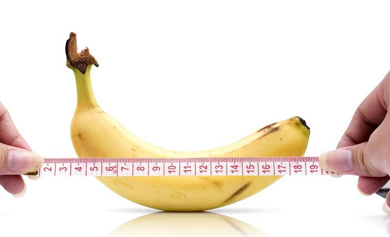 The effect of abstinence on the length of the penis